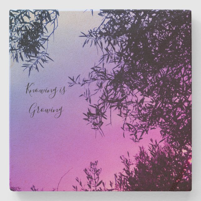 Posavasos De Piedra 2.ª escoria (Anverso)