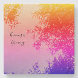 Posavasos De Piedra 2.ª escoria