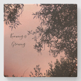 Posavasos De Piedra 2.ª escoria