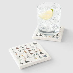 Posavasos De Piedra 36 razas de pichón