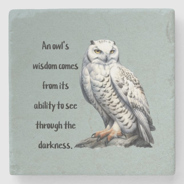 Posavasos De Piedra A beautiful white wise Owl (Anverso)