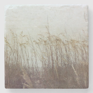 Posavasos De Piedra A través de las dunas II