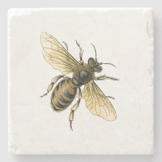 Posavasos De Piedra Abeja de la miel (Anverso)