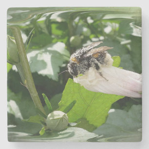 Posavasos De Piedra Abeja en verano