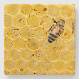 Posavasos De Piedra abeja y abeja