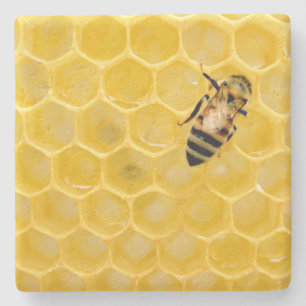 Posavasos De Piedra abeja y abeja