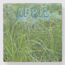 Posavasos De Piedra Abril