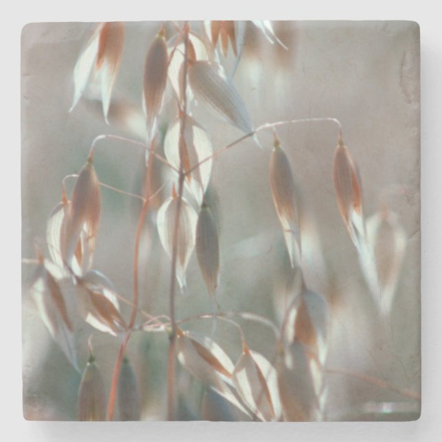 Posavasos De Piedra Acejas maduras (Avena Sativa) Cerca. Cáceres, Bola (Anverso)