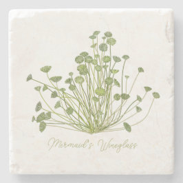 Posavasos De Piedra Acetabularia Monstruo De Piedra De Algas