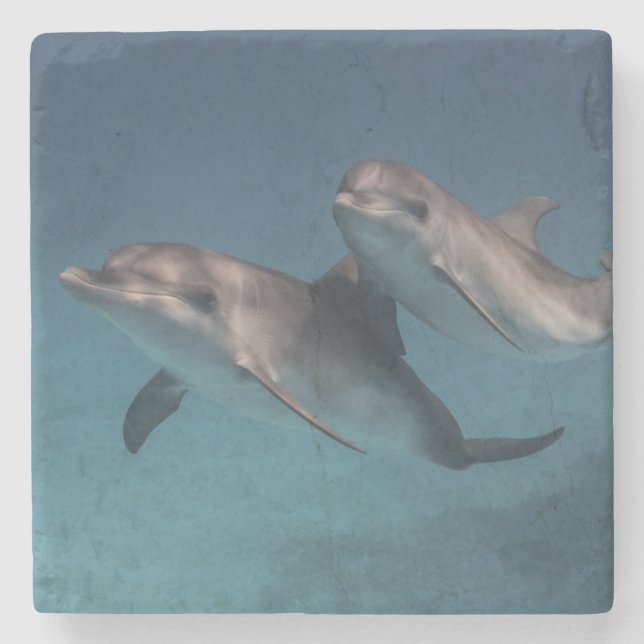 Posavasos De Piedra Actitud juguetona (Anverso)