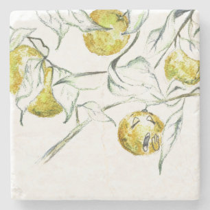 Posavasos De Piedra Acuarela Citrus Fruit Clementine Cutie