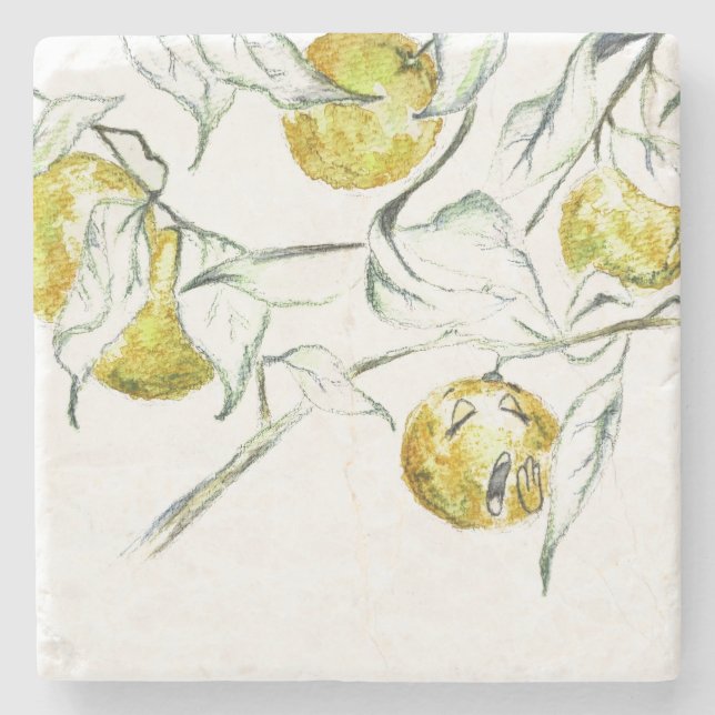 Posavasos De Piedra Acuarela Citrus Fruit Clementine Cutie (Anverso)