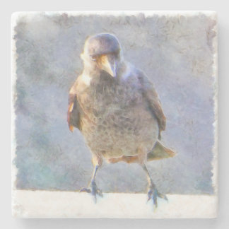 Posavasos De Piedra Acuarela de Jackdaw