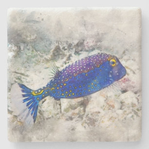 Posavasos De Piedra Acuarela de peces tropicales hawaianos - Boxfish