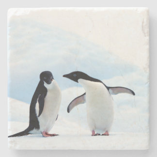 Posavasos De Piedra Adelie Penguins