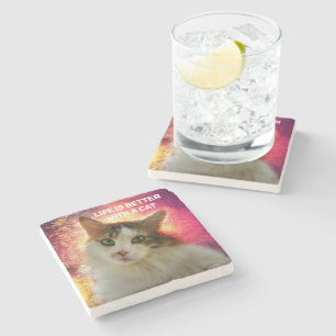 Posavasos De Piedra Adorable Cute Calico Cat