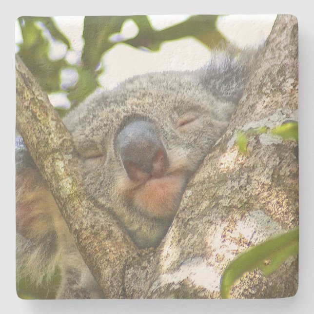 Posavasos De Piedra Adorable Dormir Koala (Anverso)