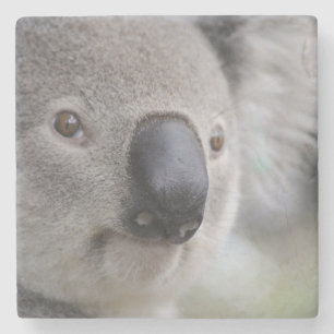 Posavasos De Piedra Adorable Koala Bear