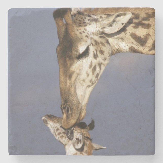 Posavasos De Piedra África, Kenia, Masai Mara. Giraffes (jirafa) (Anverso)