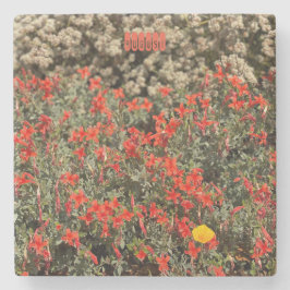 Posavasos De Piedra Agosto