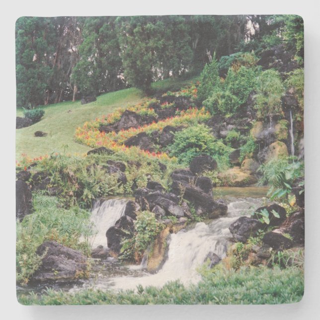 Posavasos De Piedra Agua de curación (Anverso)