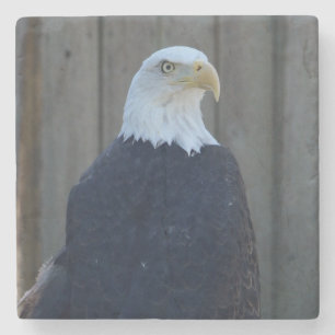 Posavasos De Piedra Águila calva