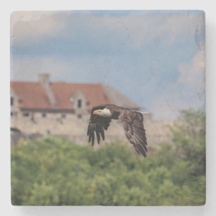 Posavasos De Piedra Águila calva que pasa por Fort Ticonderoga
