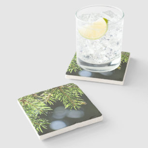 Posavasos De Piedra Agujas de pino con bokeh