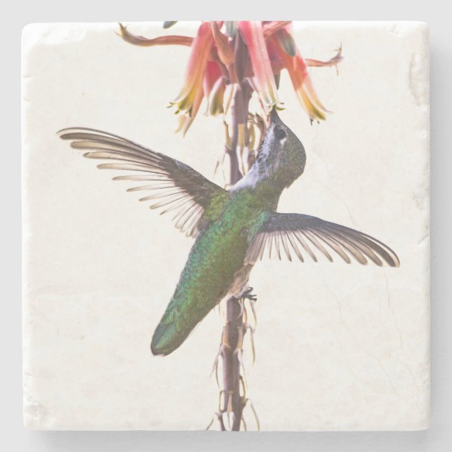Posavasos De Piedra Alas de colibrí (Anverso)