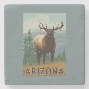 Posavasos De Piedra Alces SceneArizona