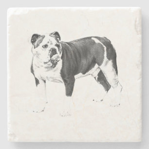 Posavasos De Piedra Alfombra de mesa Cheers, Coaster Sombra Suave