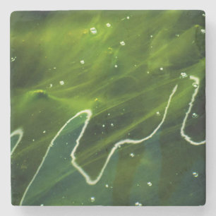 Posavasos De Piedra Álgae verde y bacastro de agua