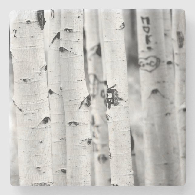 Posavasos De Piedra Alzar el Aspen (Anverso)