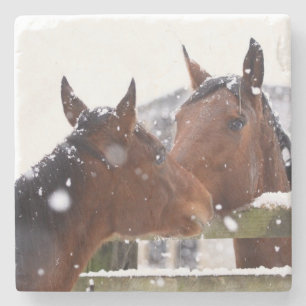 Posavasos De Piedra Amante de caballos