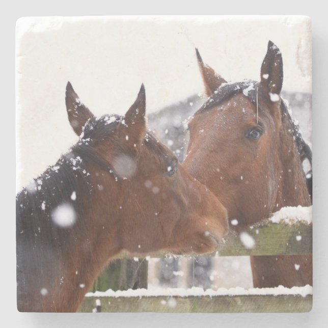 Posavasos De Piedra Amante de caballos (Anverso)