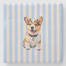 Amantes de Corgi juguetones con rayas azules y bei