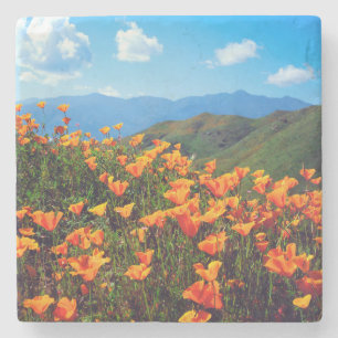 Posavasos De Piedra Amapolas de California cubriendo una ladera