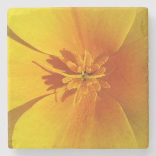 Posavasos De Piedra amarillo de otoño