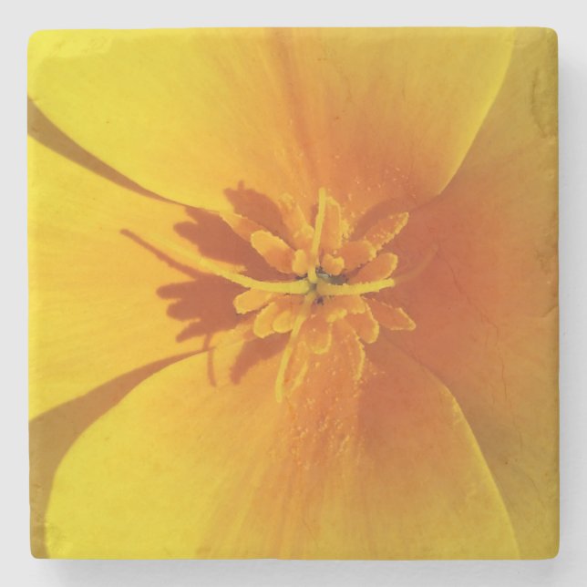 Posavasos De Piedra amarillo de otoño (Anverso)