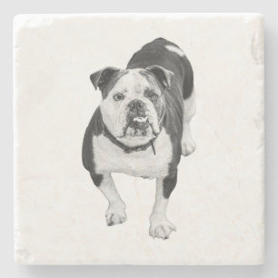Posavasos De Piedra Amigo de Invierno, Montaña Rusa de Bulldog
