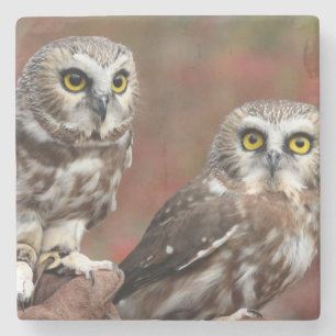 Posavasos De Piedra Amigos