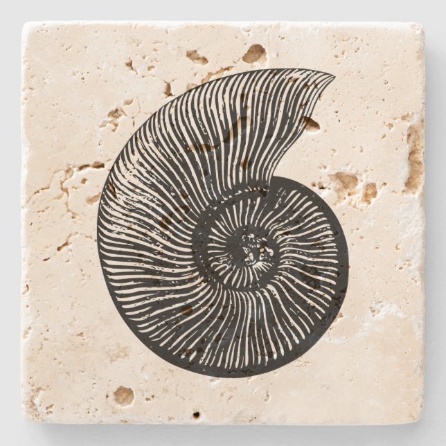 Posavasos De Piedra Ammonita Fossil (Anverso)