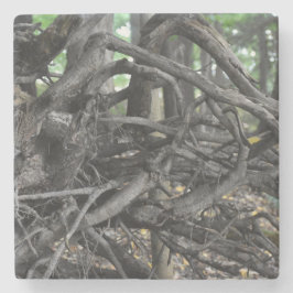 Posavasos De Piedra Amor a un árbol caído