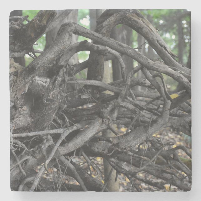 Posavasos De Piedra Amor a un árbol caído (Anverso)