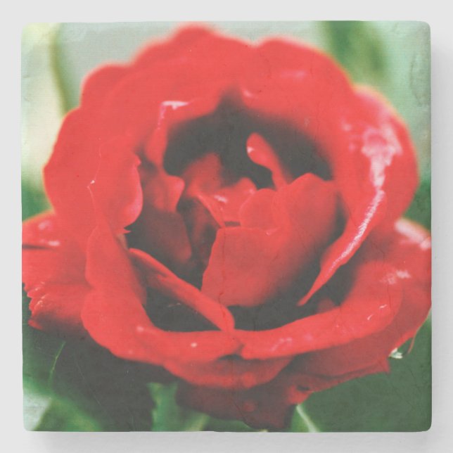 Posavasos De Piedra Amor de Rosa Roja  (Anverso)