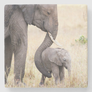 Posavasos De Piedra Amor maternal