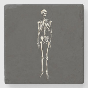 Posavasos De Piedra Anatomía de esqueleto humano dibujo pop art cómic