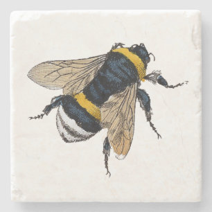 Posavasos De Piedra Anguloso manosee la abeja