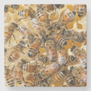 Posavasos De Piedra Apicultura en Arlo's Honey Farm