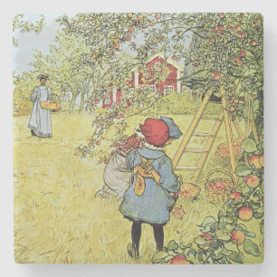 Posavasos De Piedra Apple cosecha